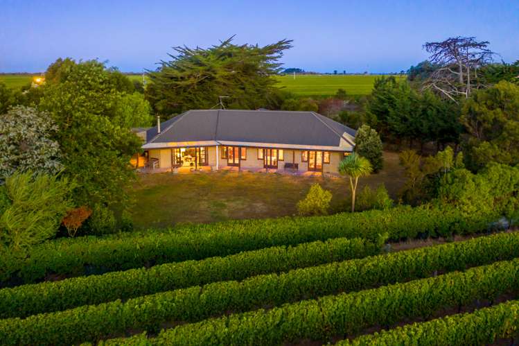 140 Neal Road Spring Creek_0