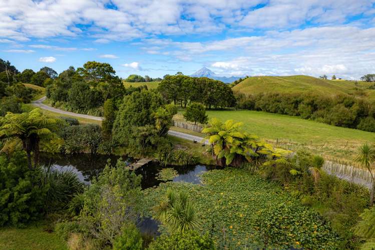 77c Dorset Road Hillsborough_28