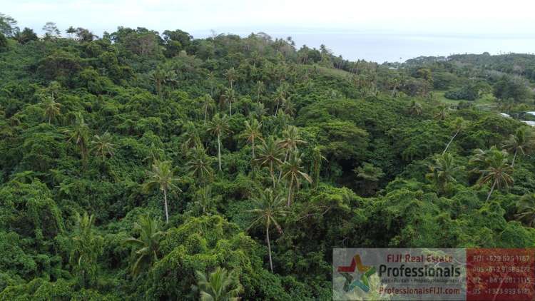 Address withheld Taveuni_20