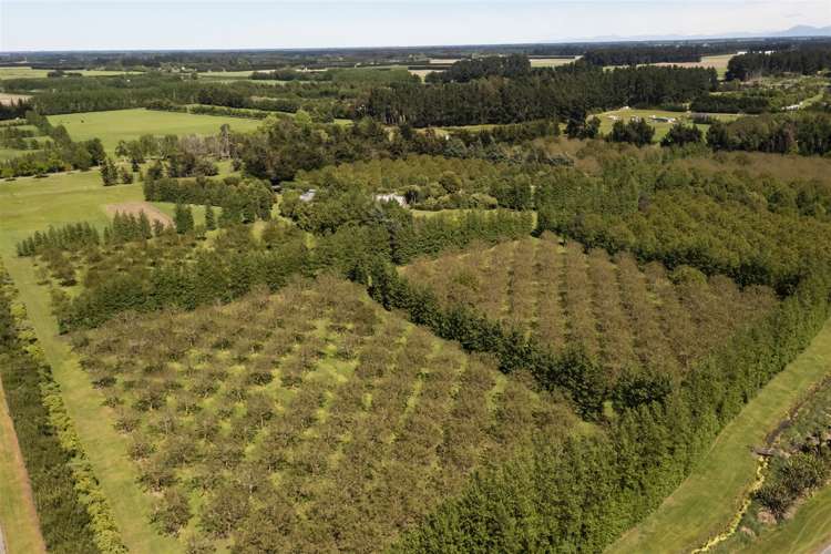 407 Halkett Road West Melton_42