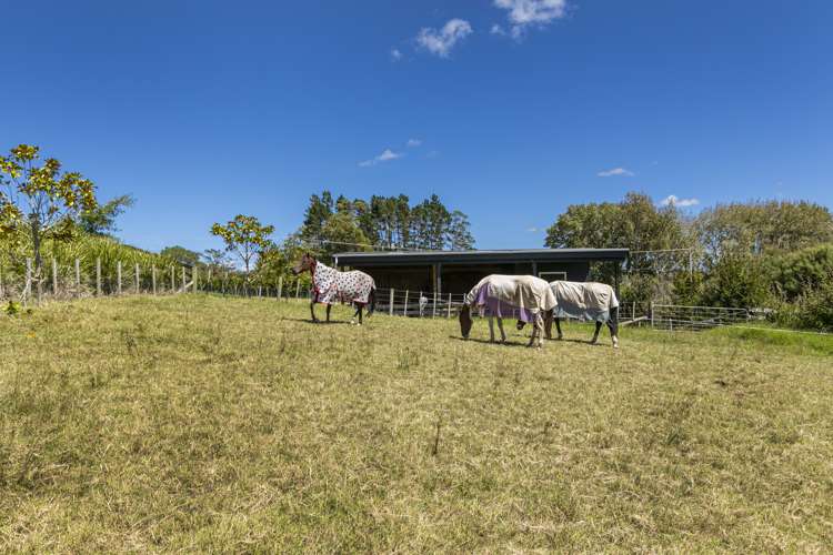 79 Wake Road Coatesville_19