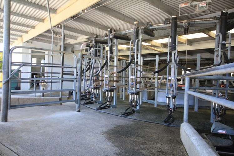 283 Oparakau Road Matakohe_10