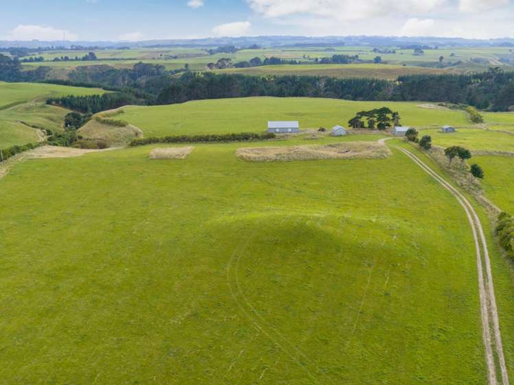 116 Karahaki Road Waverley_16