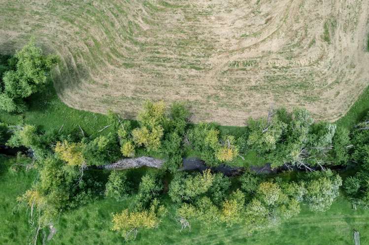 Lot 3 Moorey Lane Otaika_14