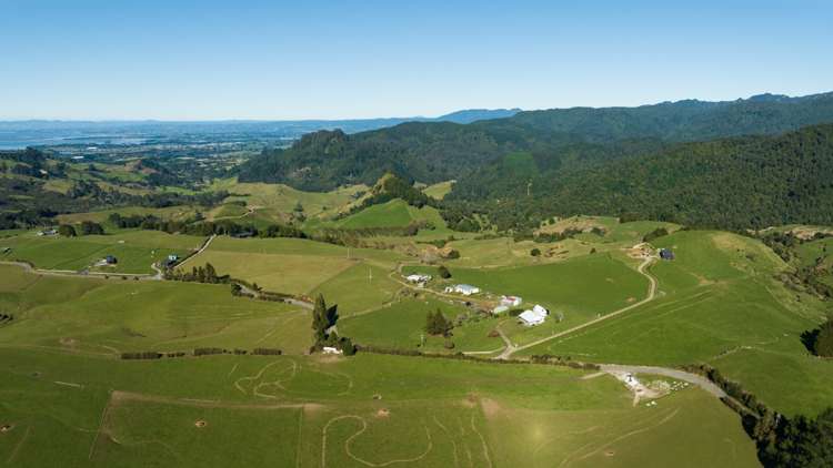 744 Woodlands Road Waihi_14