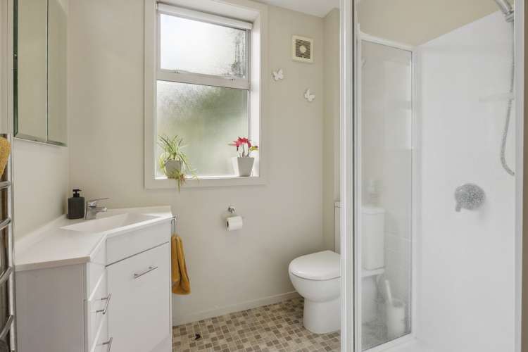 41 Littlebourne Road Roslyn_14