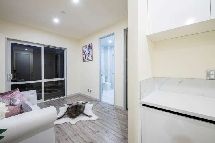 47 Donegal Park Drive Flat Bush_11