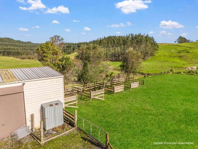 230 Tavinor Road Otaika_4