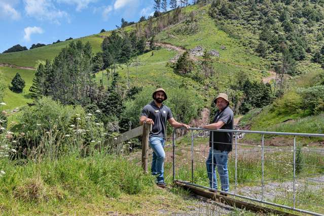 75 Parakiore Road Ngararatunua_3