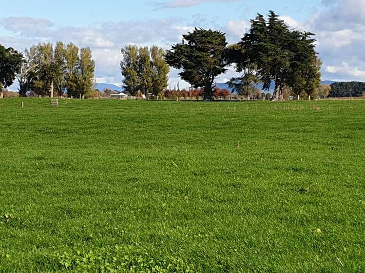 Wardville Road Wardville_8