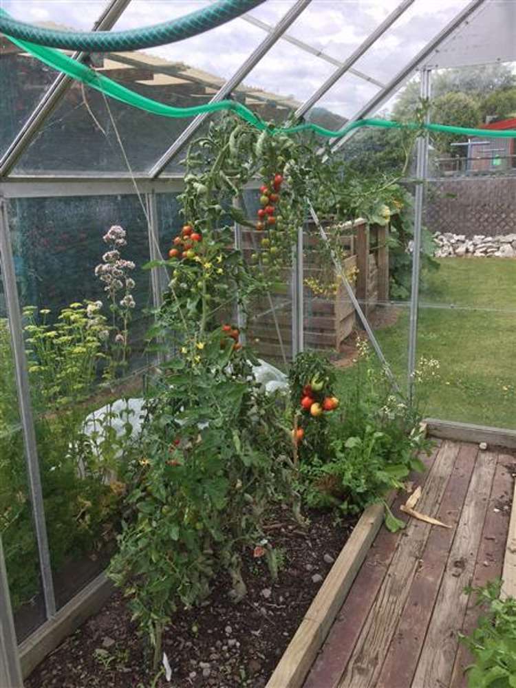 2 York Street Motueka_7