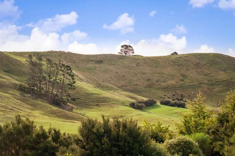 7B Ridge View Place Waihi_38