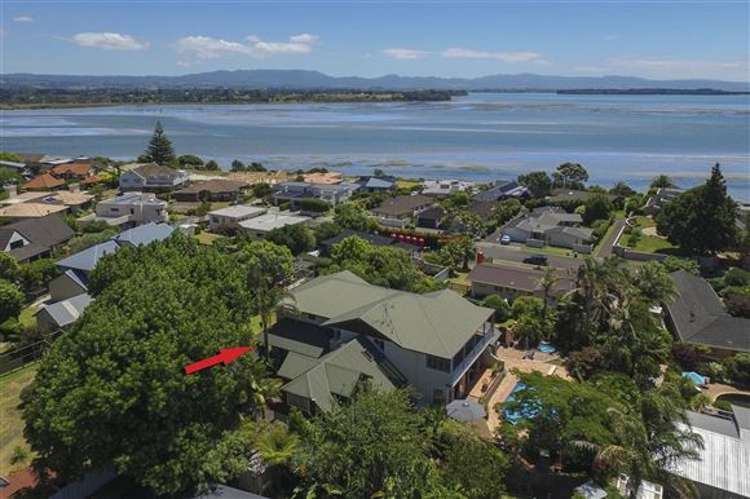 117 Kings Avenue Matua_9