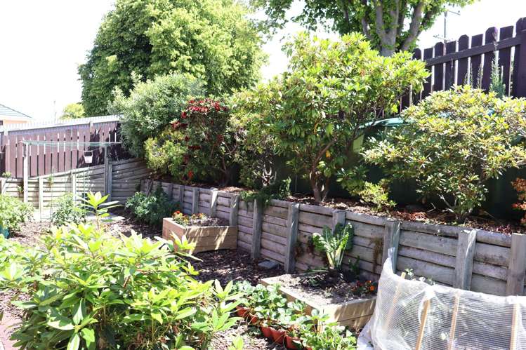 8 Kia Ora Drive Oamaru_14