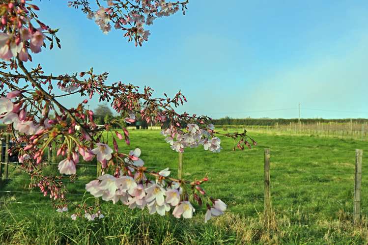 52 Raymond Road Haumoana_22