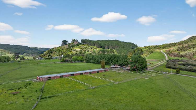 54 Edgerley Road Kaipara Flats_29