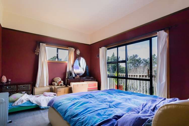 41 Cornwallis Road Cornwallis_6