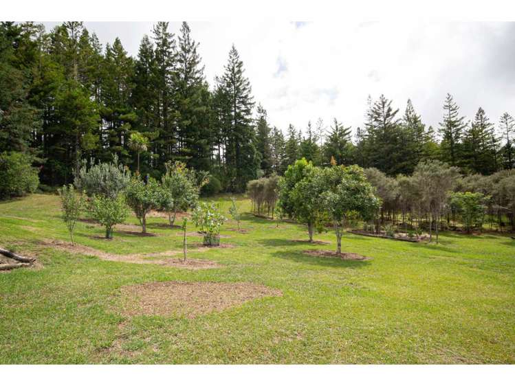 39b Shirley Road Kerikeri Surrounds_20