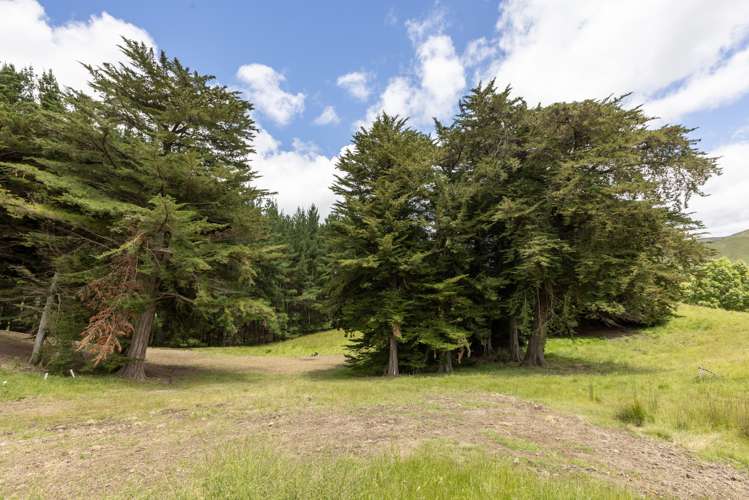 2069 Kahuranaki Road Elsthorpe_20