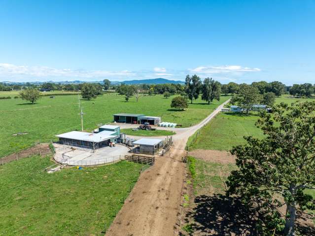 138 Taihoa South Road Matamata_1