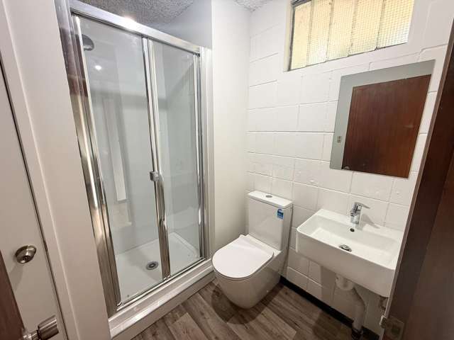 1/49 Esplanade Road Mount Eden_4