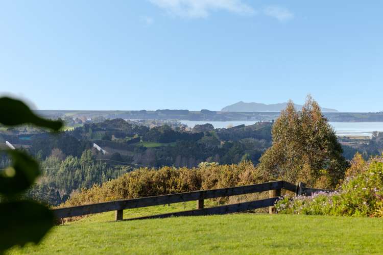 230d Waipapa Block Road Whakamarama_17