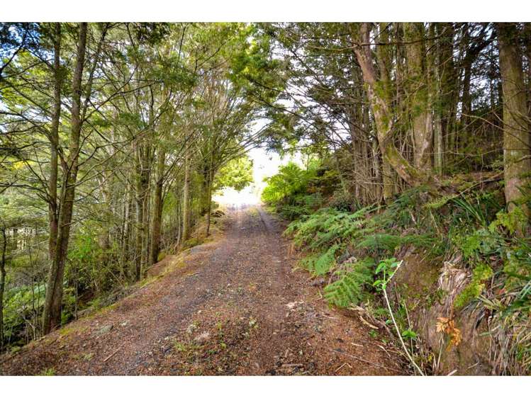 72 Morris Lane Kerikeri_0