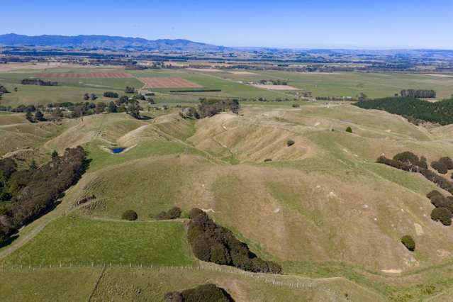 109A Junction Road Halcombe_4