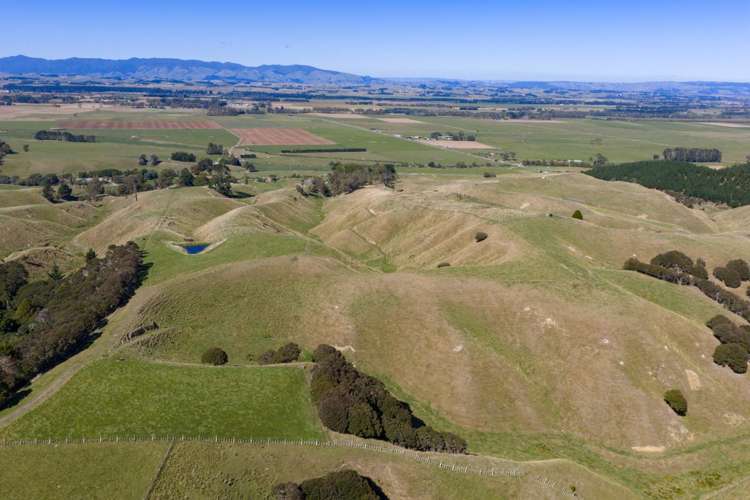 109A Junction Road_4