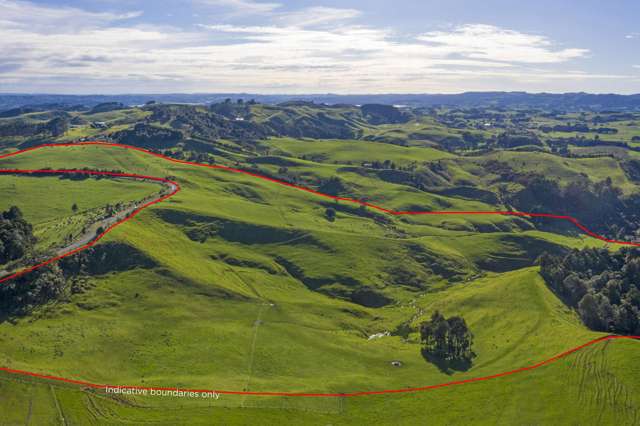 535 Maungatawhiri Road Raglan_2