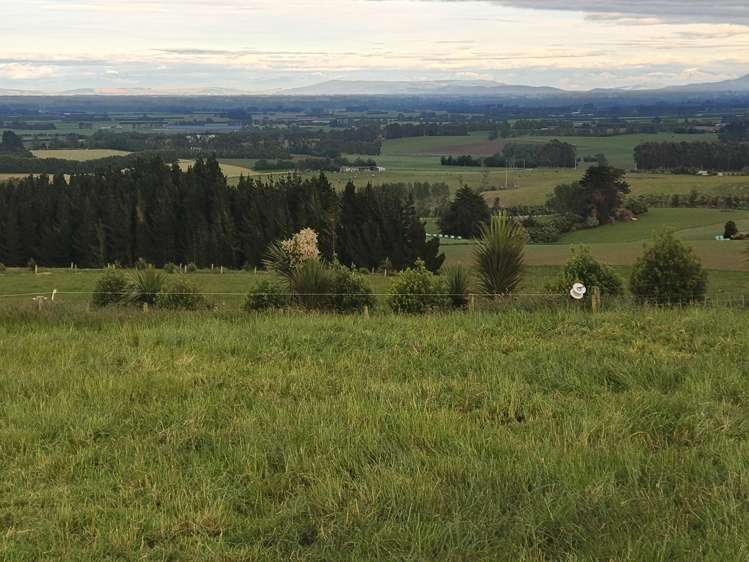 137 Kahikatea Drive Winton_8