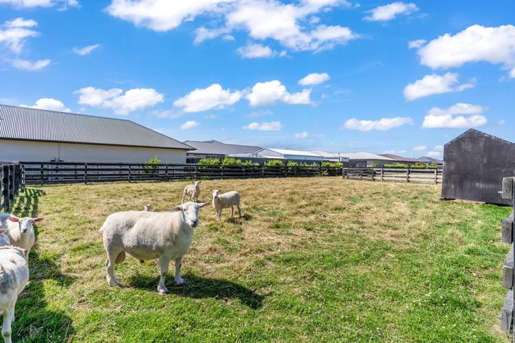 34 Union Street Winton_9