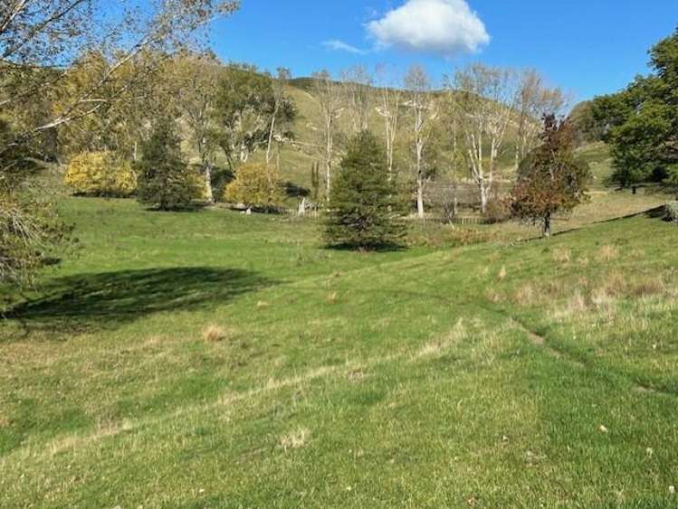 207 Rotowai Road Omakere_16