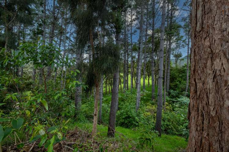 309A Larmer Road Kaitaia_28