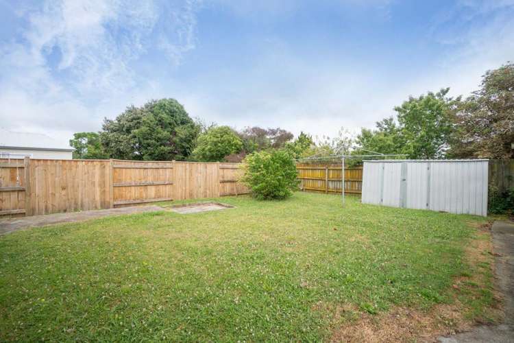 6 Rangiora Avenue Roslyn_14