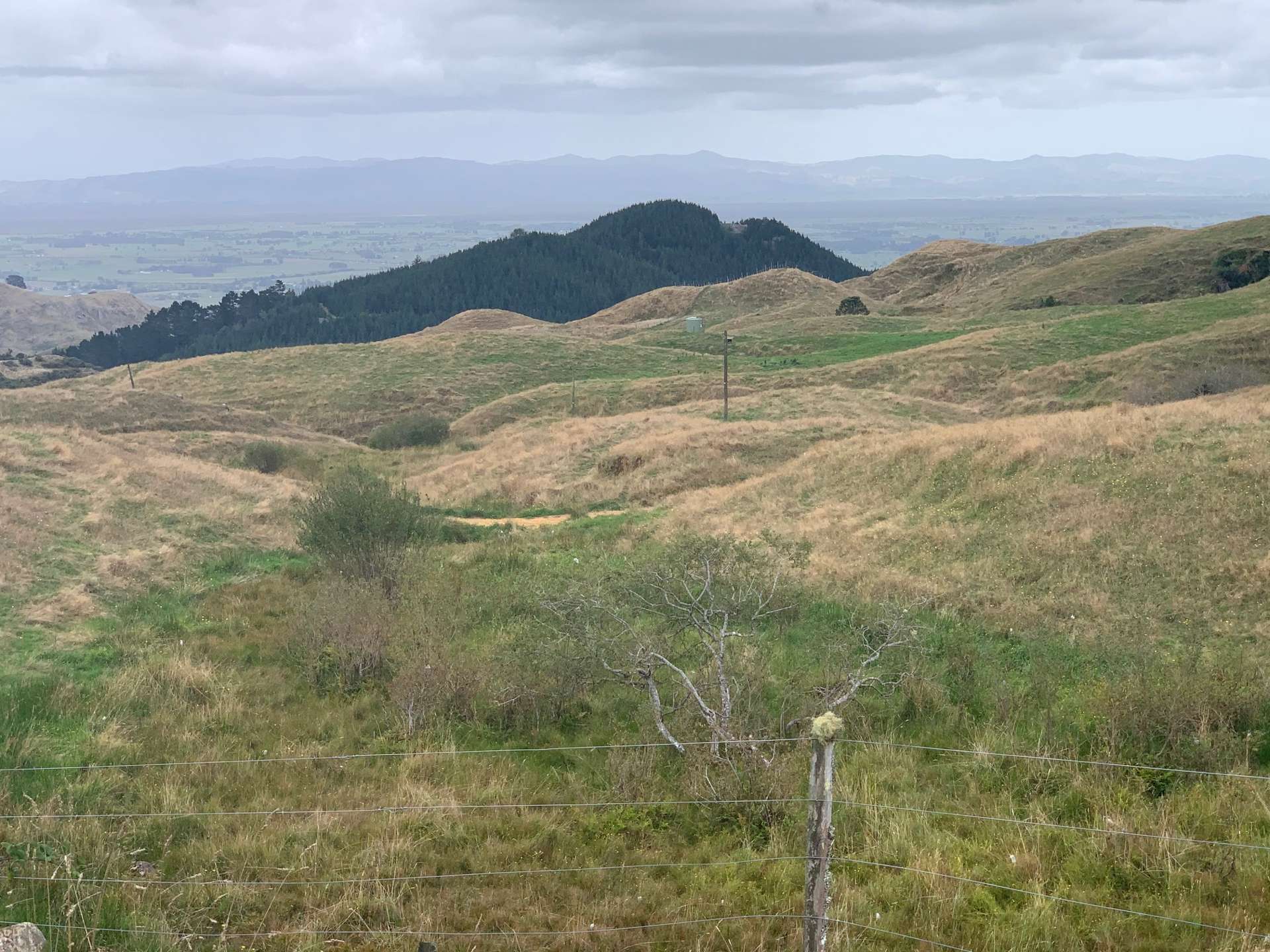 233 Goble Road Paeroa_0