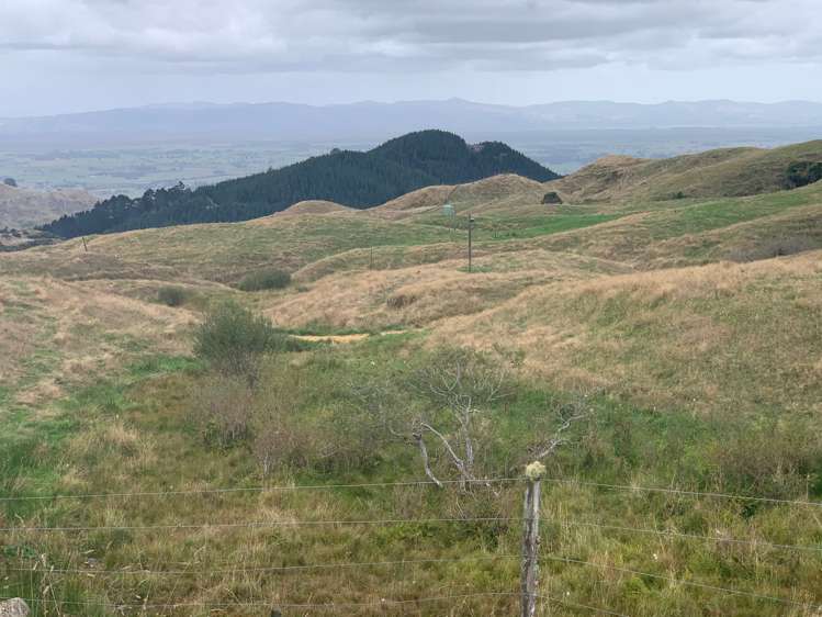 233 Goble Road Paeroa_0