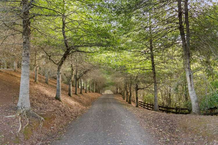 137 Dunn Road Ararimu_46