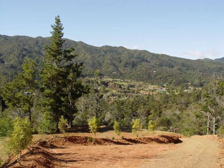 93a Colville Road Coromandel_7