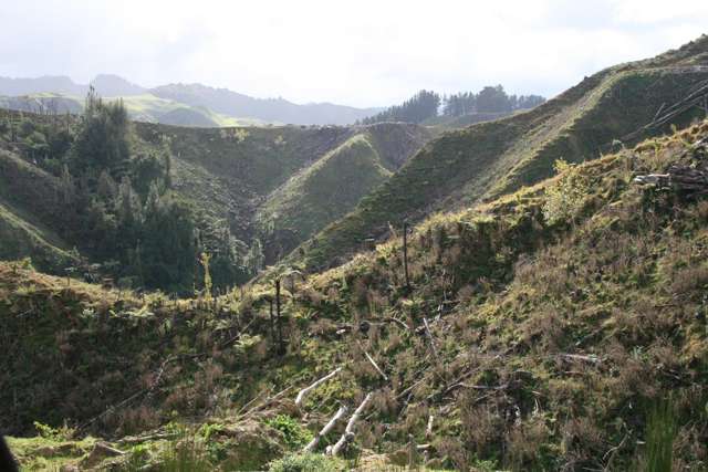 0n Makakaho Road Ngamatapouri_4