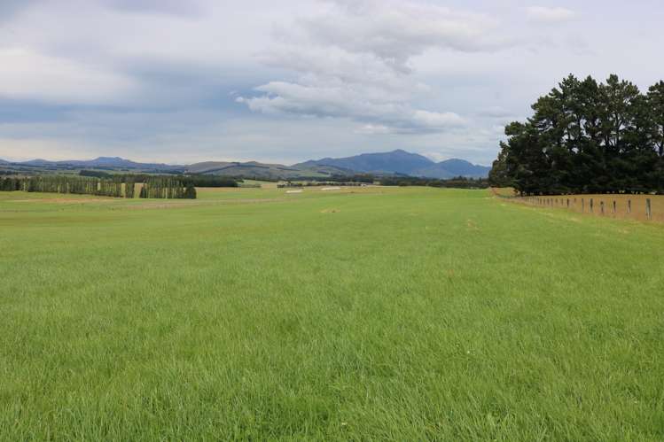 305 Lynwood Road Te Anau_21