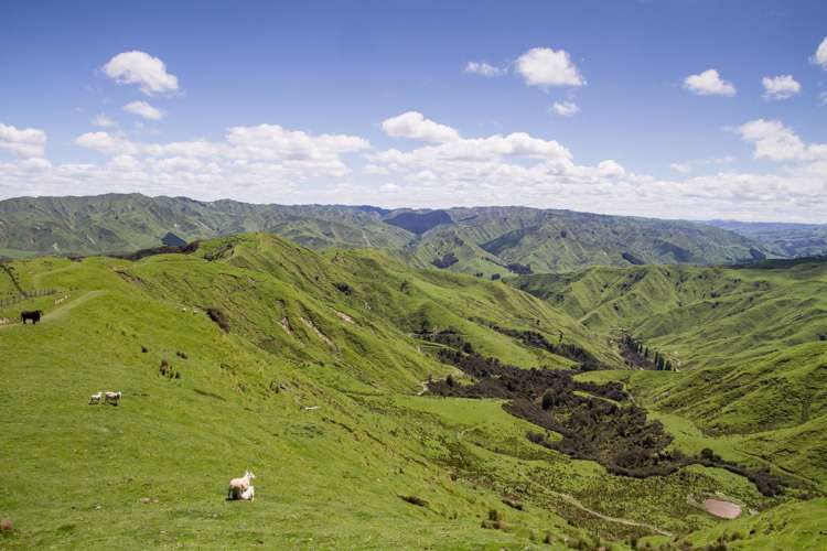 4064 State Highway 4 Kakatahi_0