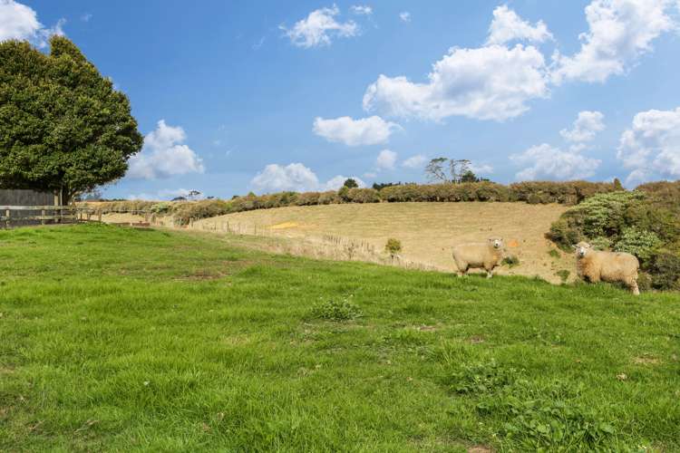 163 Klondyke Road Onewhero_23