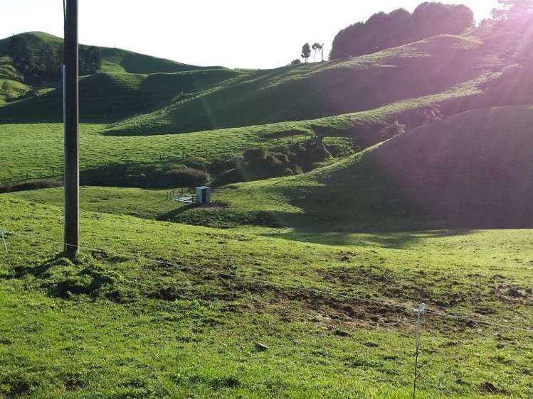 103 Kupara Road Ratapiko_13