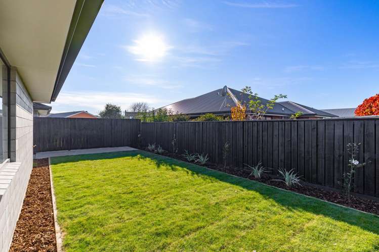 259A Scott Street Redwoodtown_24