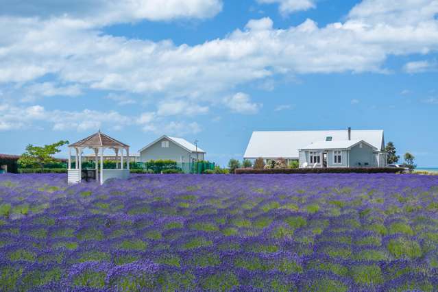 Exquisite Waterfront Retreat In A Serene Setting