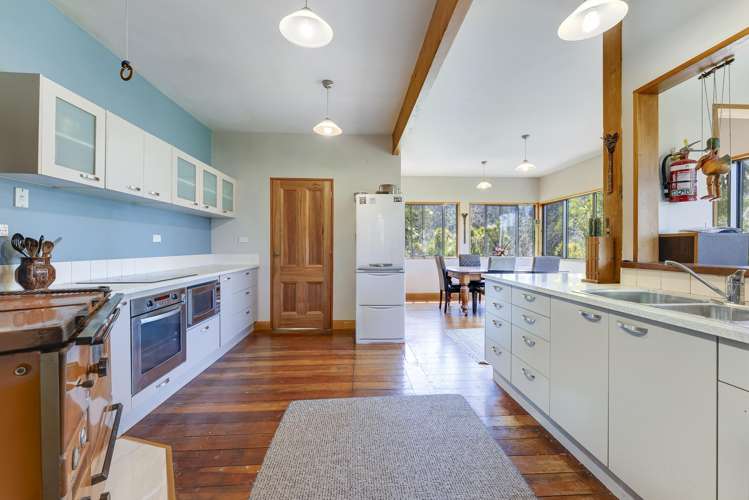 115 Snake Creek Road Collingwood_4