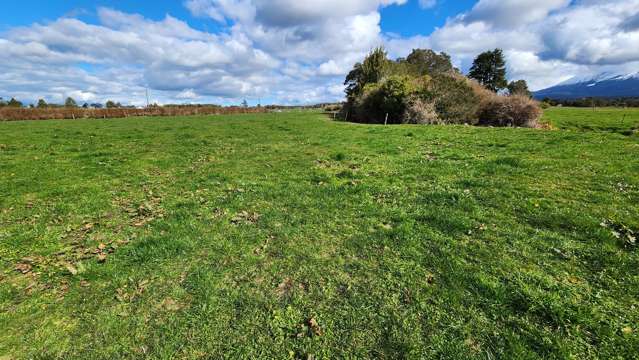 544 Surrey Road Tariki_4