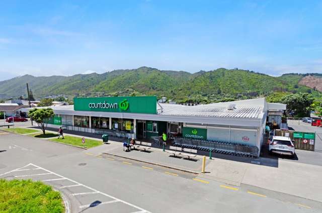 Rare Kapiti Investment Opportunity