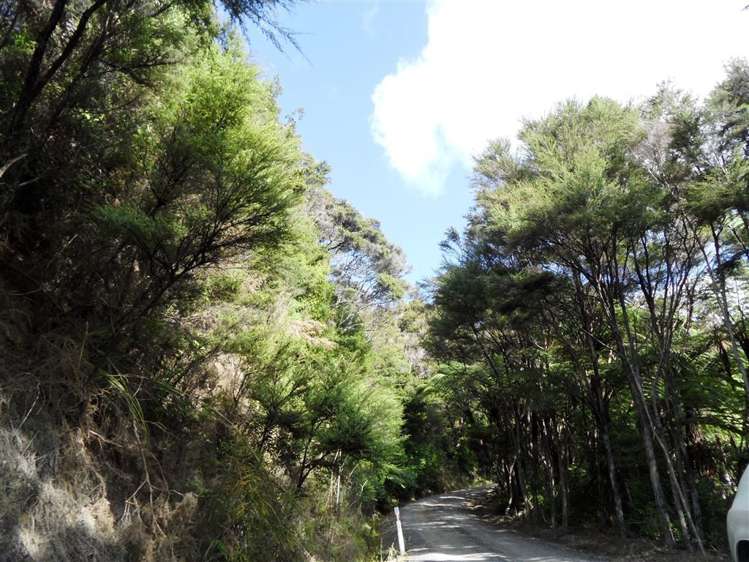 Paihia Road Paihia_9